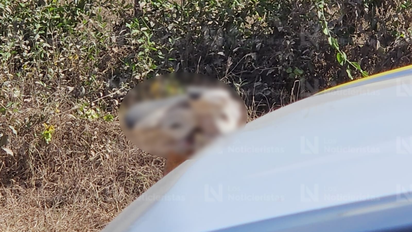 Ejecutado en las cribas de Aguaruto