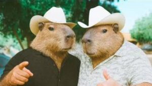 el coyote y chuy lizarraga llegaran a las playas de mazatlan capibaras