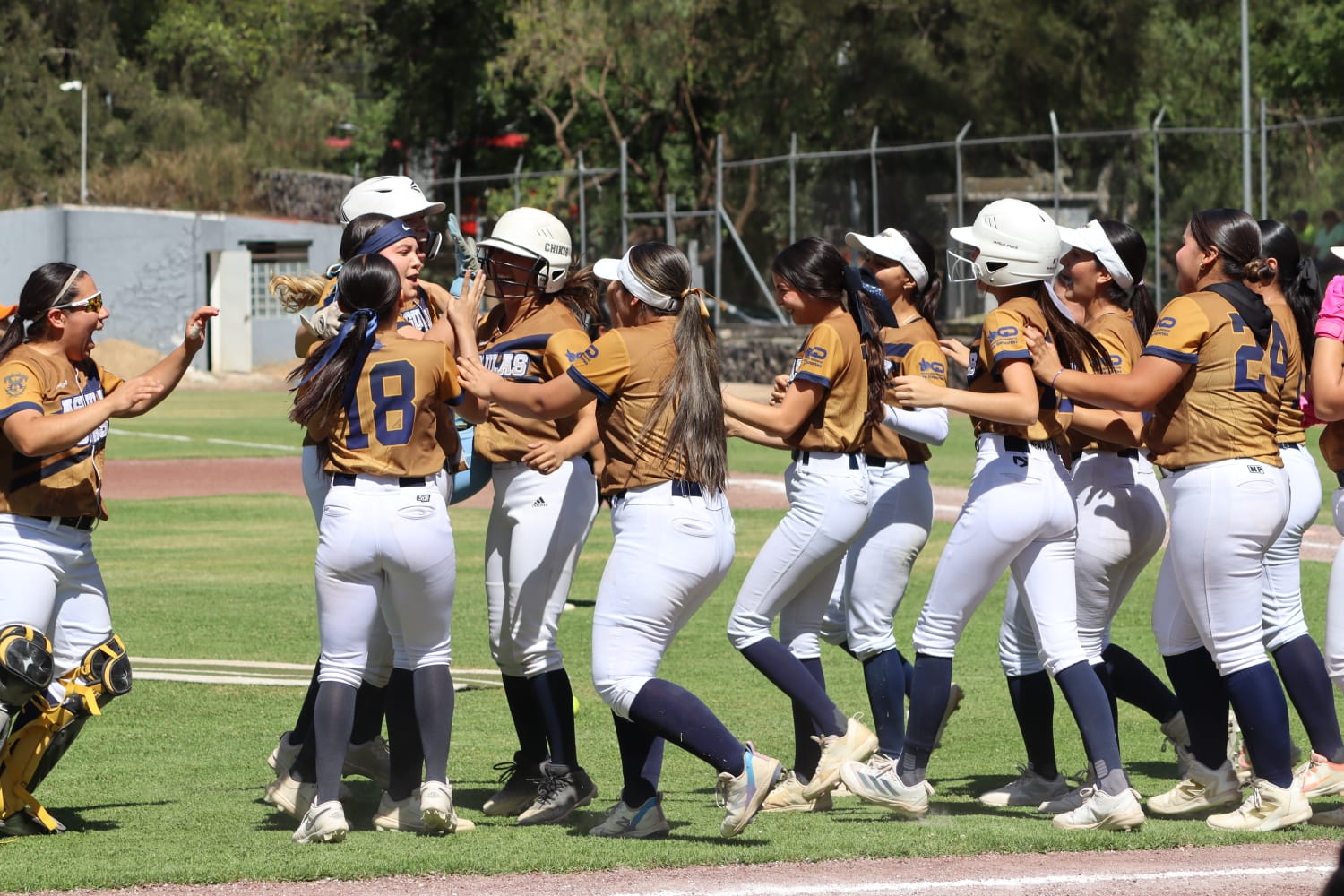 Equipo de softbol de las Águilas UAS en Nacionales ANUIES 2026