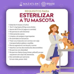 Campaña de esterilización
