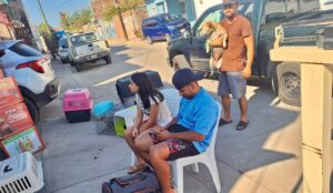 Esterilizan mascotas en la colonia Quinta Chapalita, en Mazatlán
