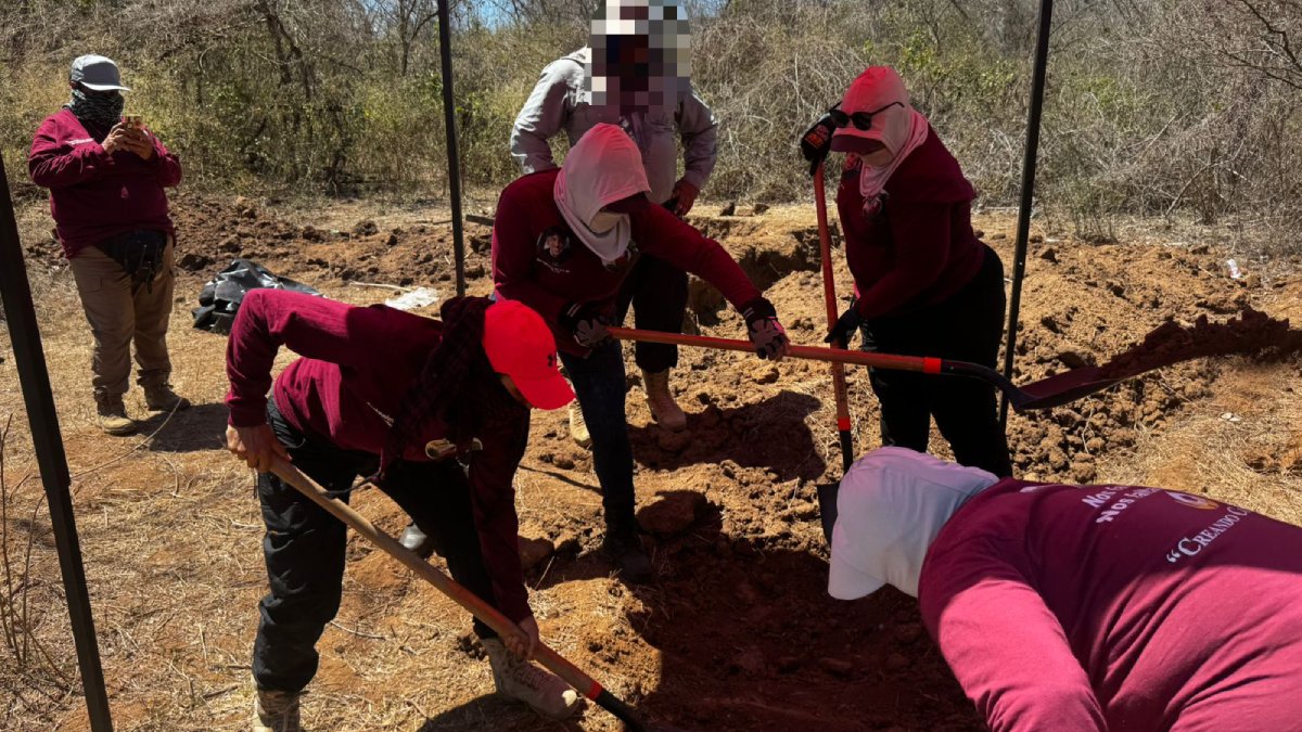 fosas clandestinas en el verde concordia