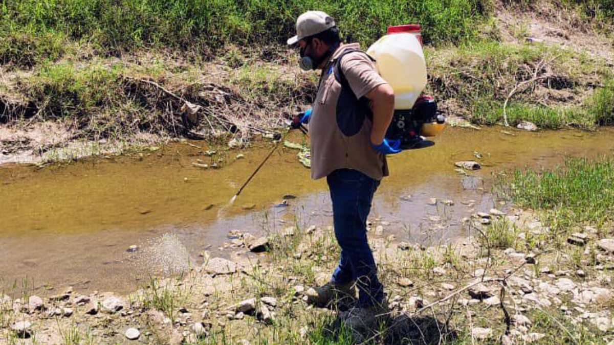 fumigacion contra el dengue