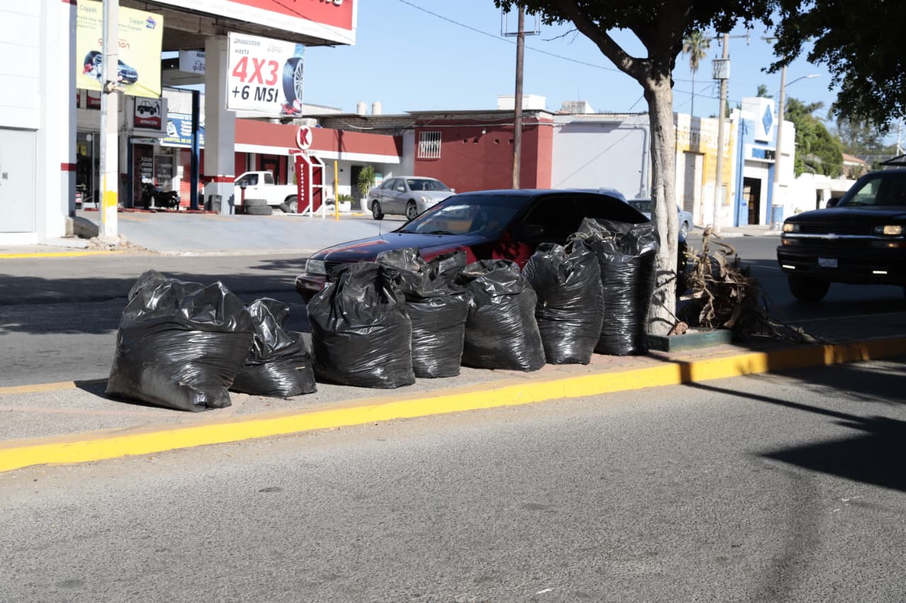 Trabajadores, funcionarios y regidores del Ayuntamiento de Guasave durante la octava Jornada Intensiva de Limpieza Sabatina