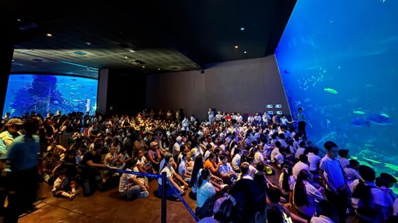 Última llamada al Gran Acuario Mazatlán, Sinaloa; locales aprovechan precios especiales antes de que termine la promoción
