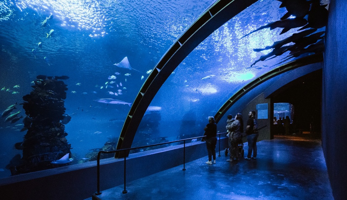 Gran Acuario Mazatlán