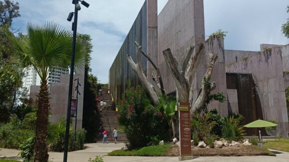 Son guardianes del Mar de Cortés: el trabajo invisible que protege a cientos de especies en el Gran Acuario Mazatlán, Sinaloa