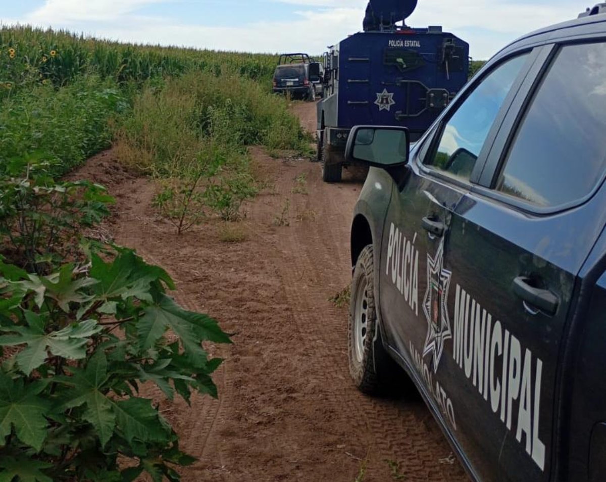Unidades de la Policía Estatal