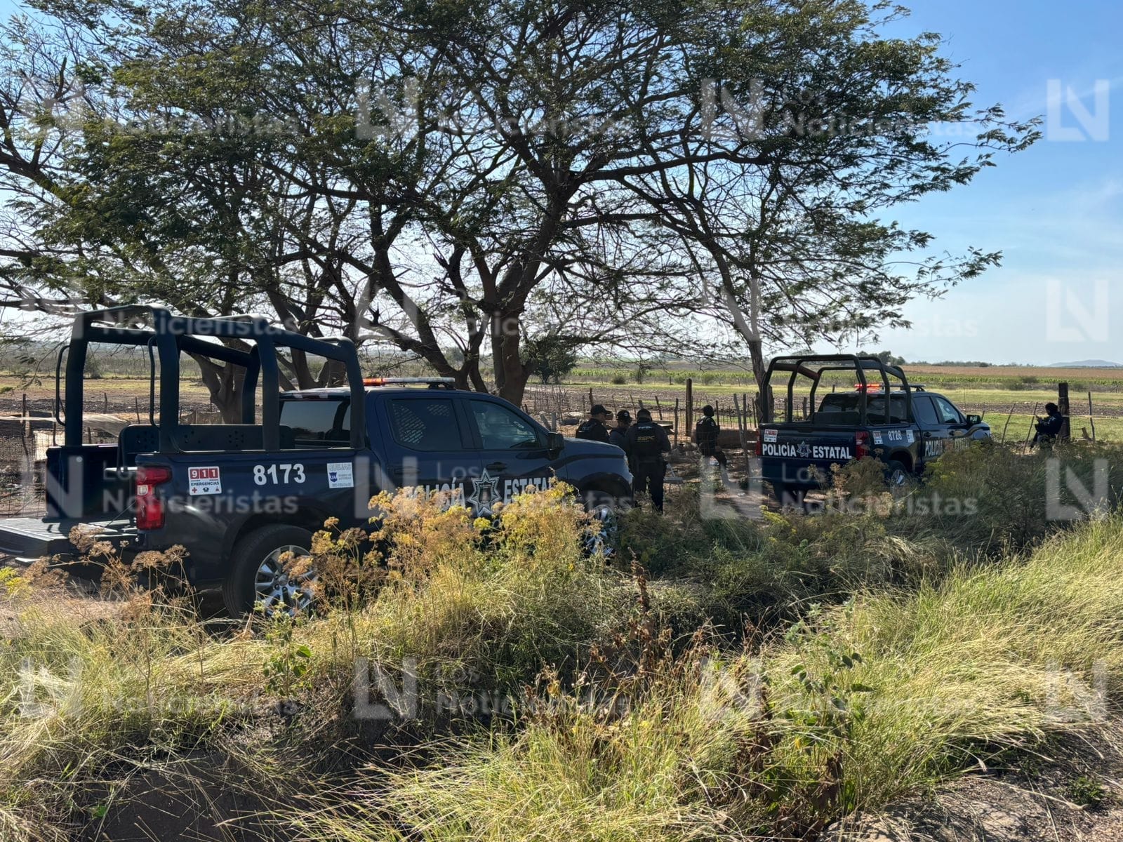 Hallazgo de mujer asesinada en Stanza Granada en Culiacán