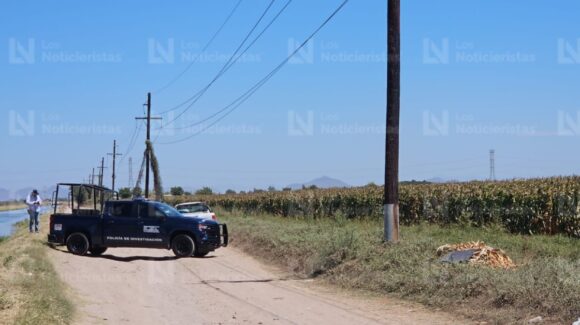 Localizan a un hombre ejecutado cubierto con plantas de maíz en Bachigualatito de Culiacán