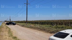 hombre ejecutado cubierto con plantas de maiz en bachigualatito lugar