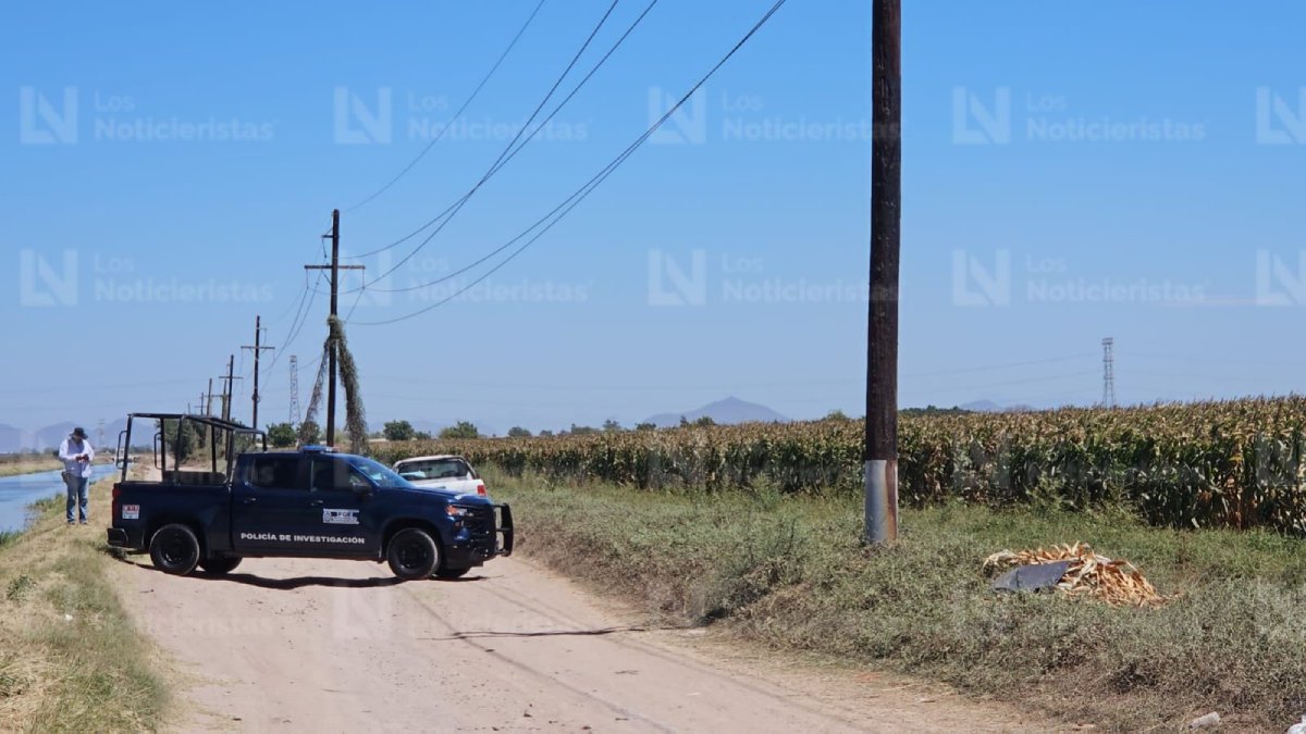 hombre ejecutado cubierto con plantas de maiz en bachigualatito