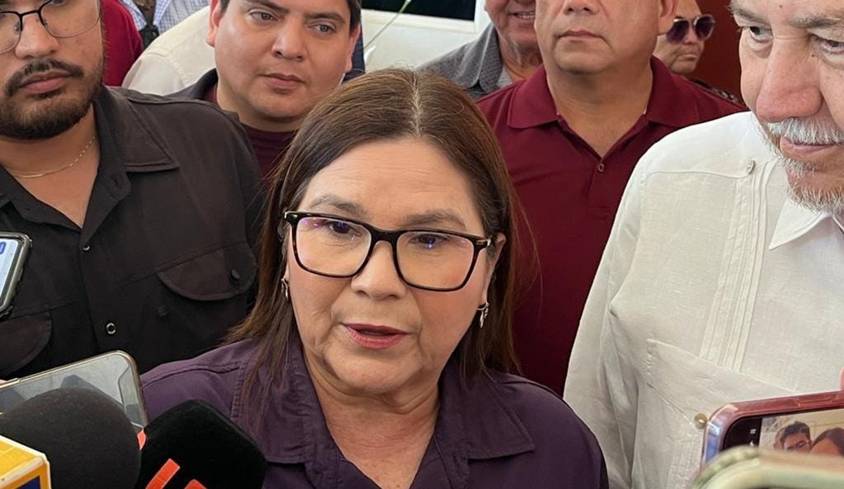 Imelda Castro Castro, senadora de Morena