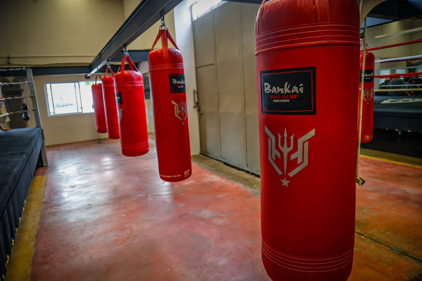 Inauguración de Ares Box en Culiacán