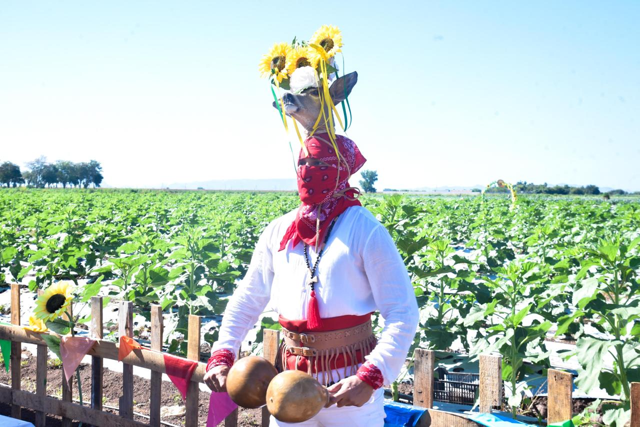 Inauguración del programa "Ahome Florece"