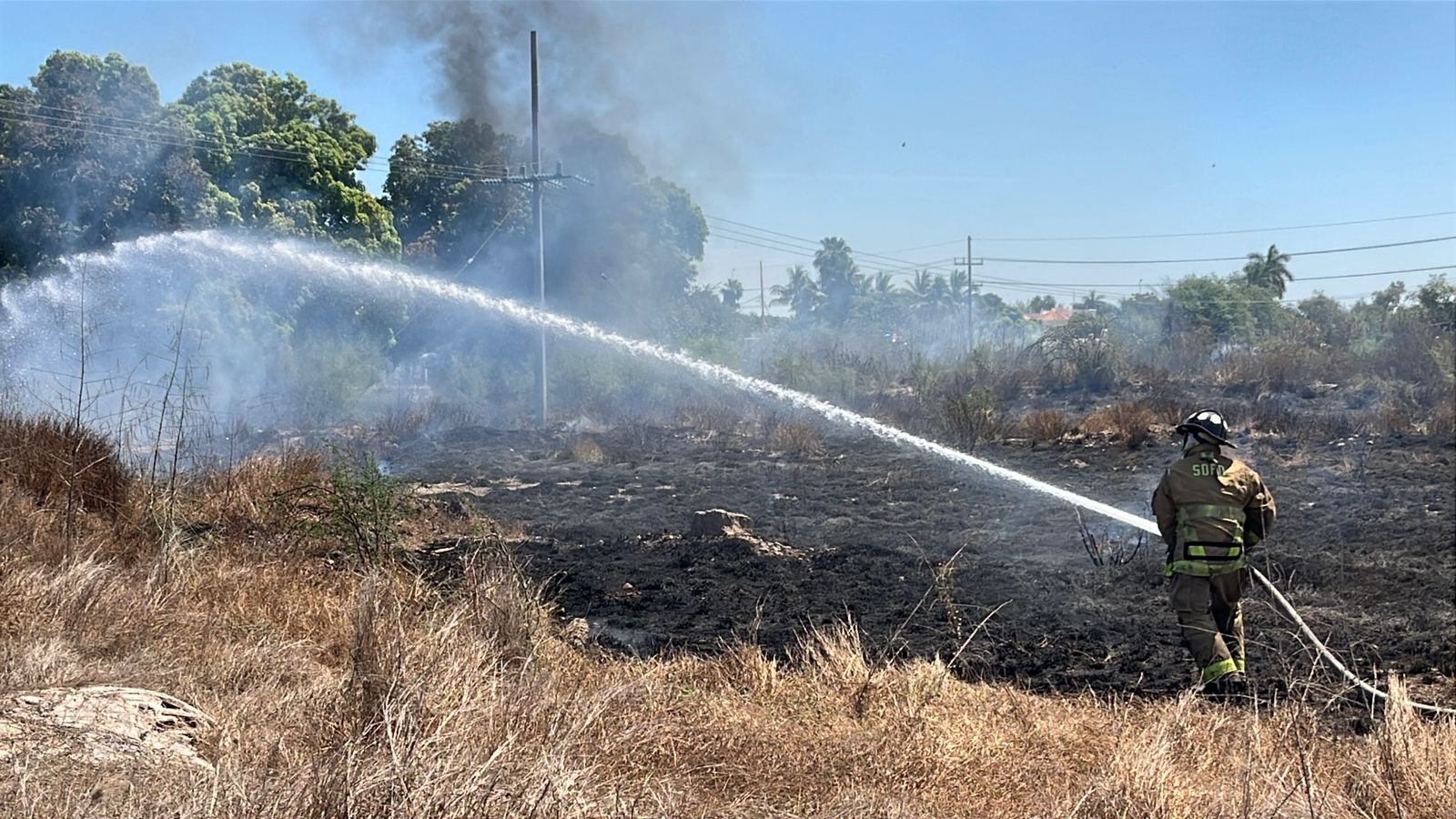 Incendio de maleza en Guasave