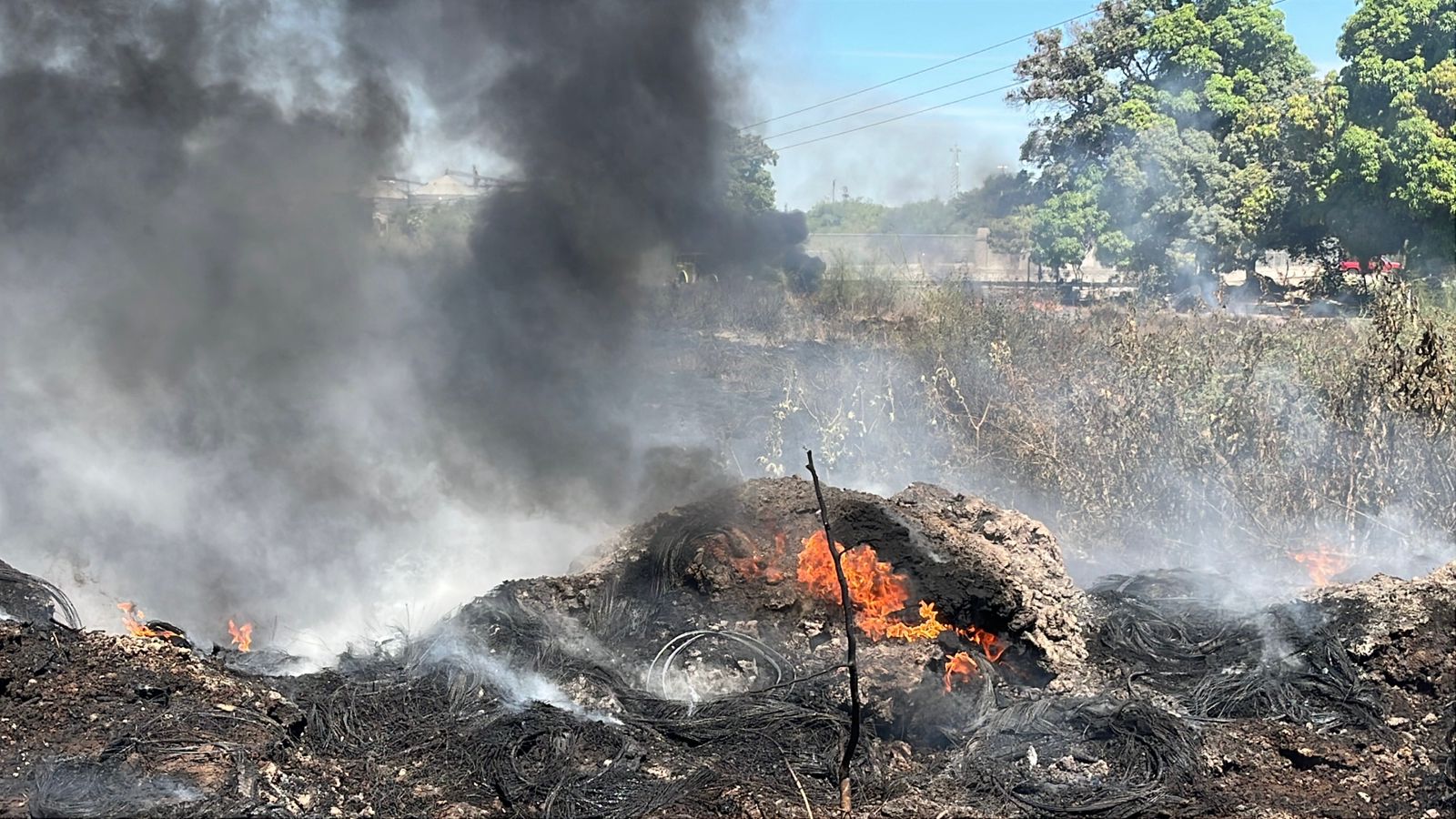 Incendio de maleza en Guasave