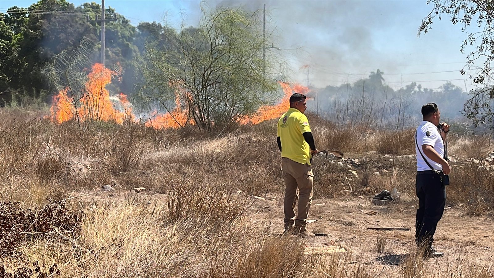 Incendio de maleza en Guasave