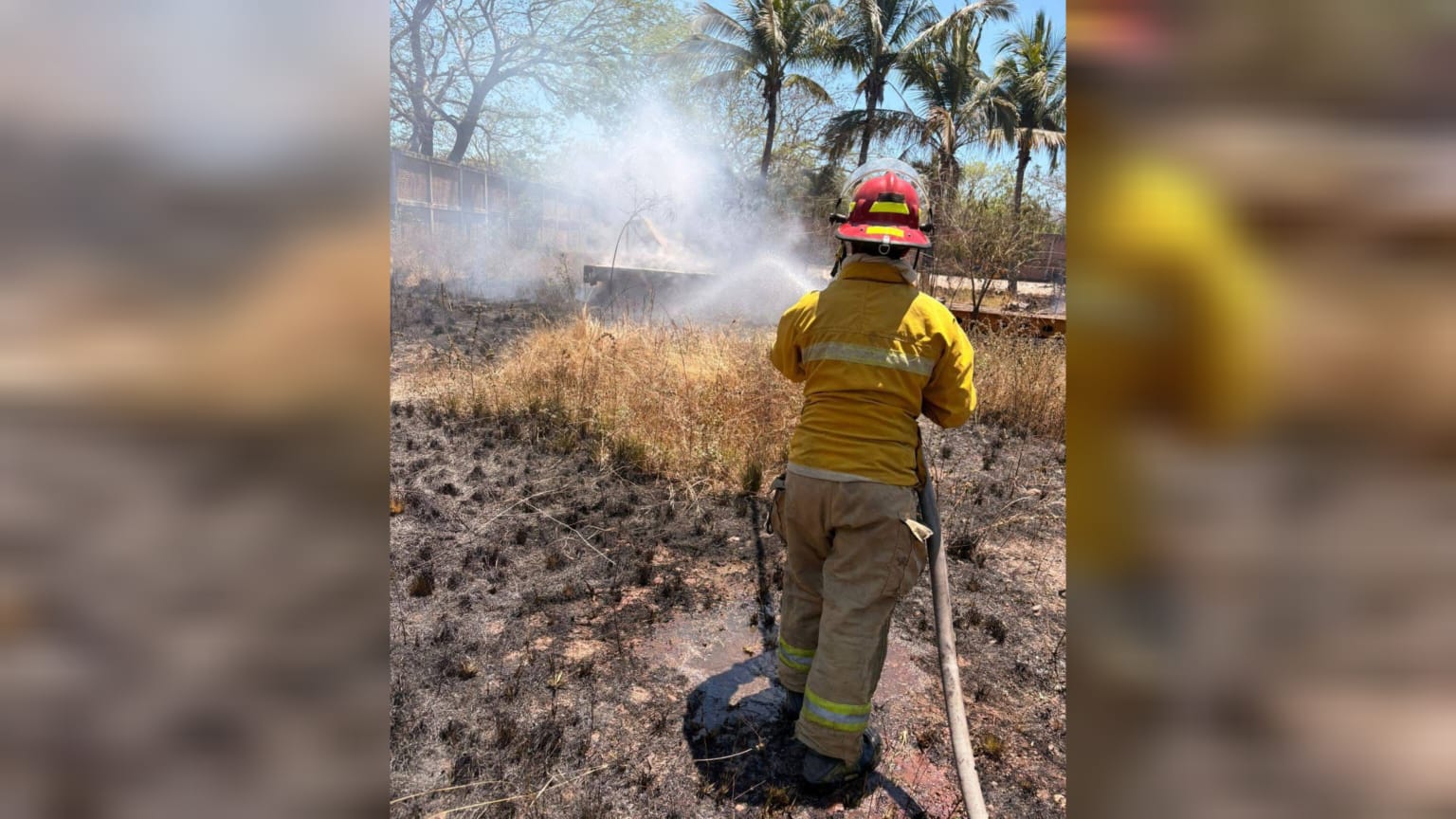 Incendio en El Zapote