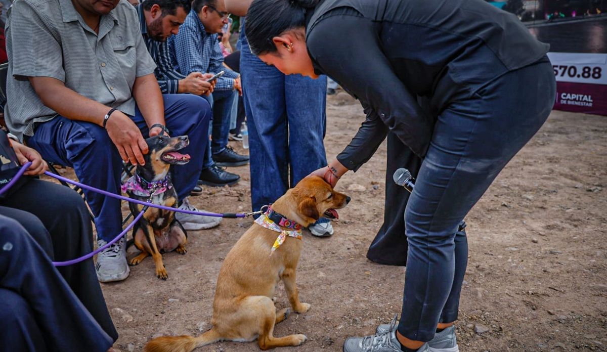 Inicia construcción de Unidad de Bienestar Animal en Culiacán