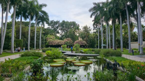 Seguridad y conservación; refuerzan acciones para mejorar el Jardín Botánico y Parque Ecológico de Culiacán