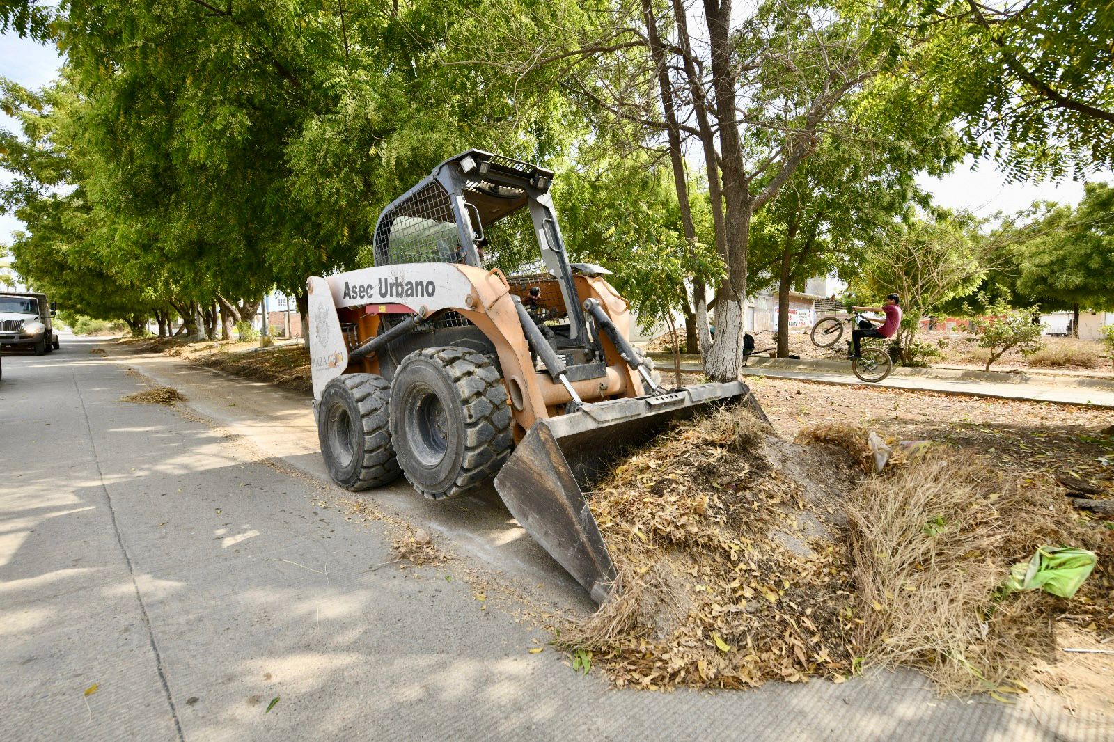 Limpieza y mantenimiento de áreas verdes en Mazatlán