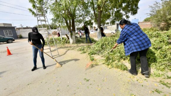Refuerzan alumbrado, limpieza y áreas verdes en el fraccionamiento San Francisco de Mazatlán, Sinaloa