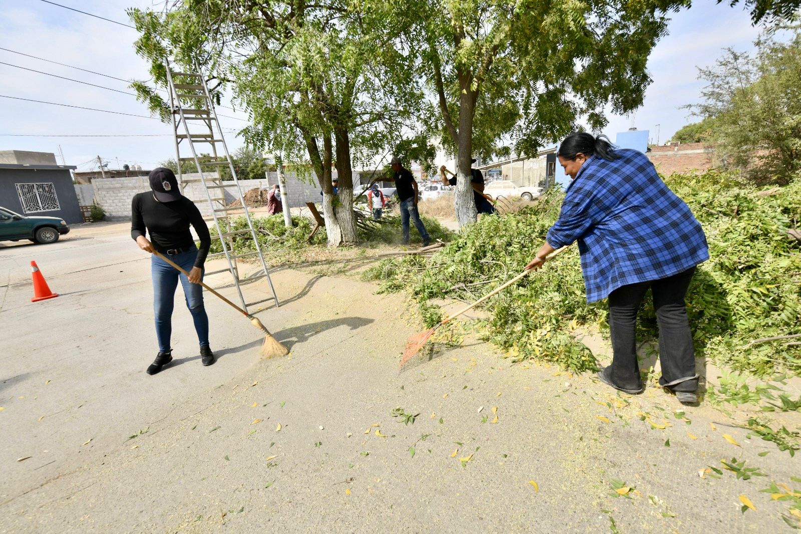 Limpieza y mantenimiento de áreas verdes en Mazatlán