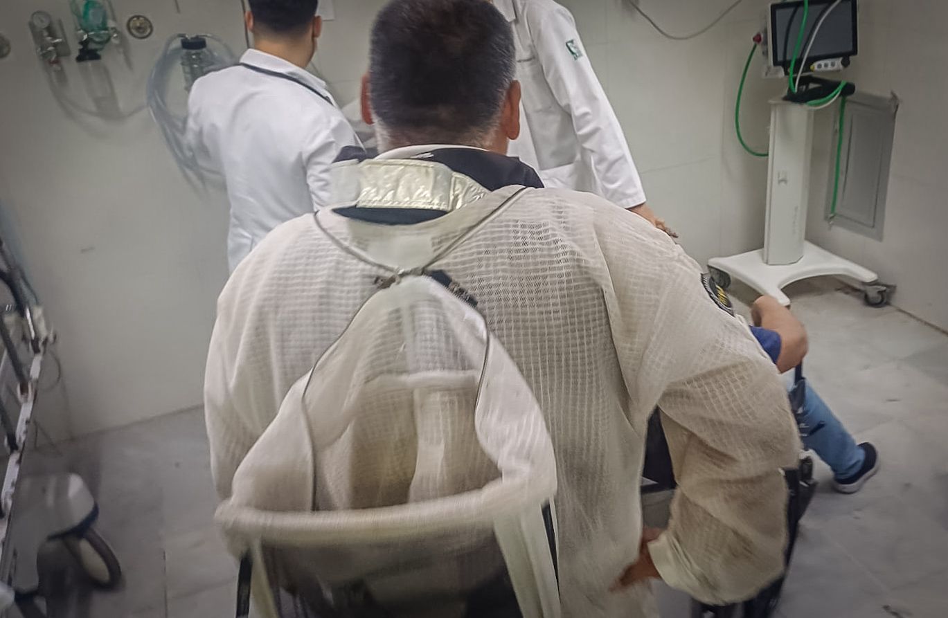 Llevan a mujer atacada por abejas a un hospital