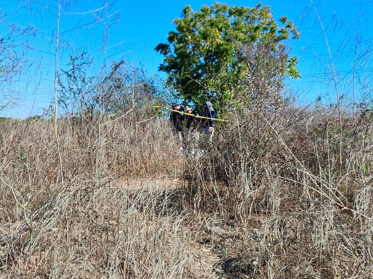 Localizan cuerpo en descomposición cerca del panteón Santa Fe, en Mazatlán
