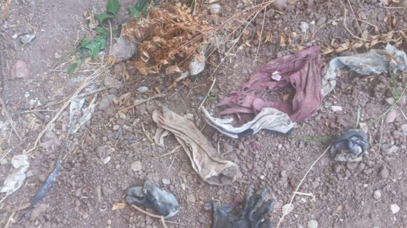 Colectivo de rastreadoras localiza restos óseos y prendas debajo de un puente de la carretera Libramiento Culiacán