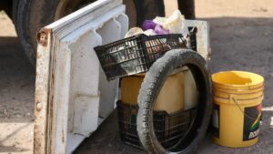 lucha contra el dengue