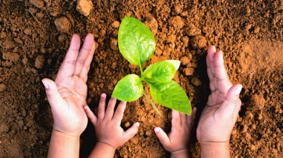 ¿Qué tan comprometido estás en cuidar planeta? En el Día de la Madre Tierra, es momento de reflexionar y actuar