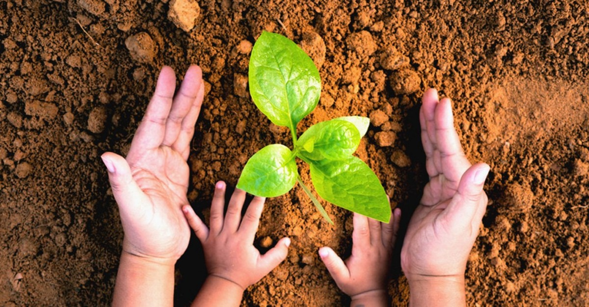 Madre Tierra. Manos en la tierra cuidando una planta
