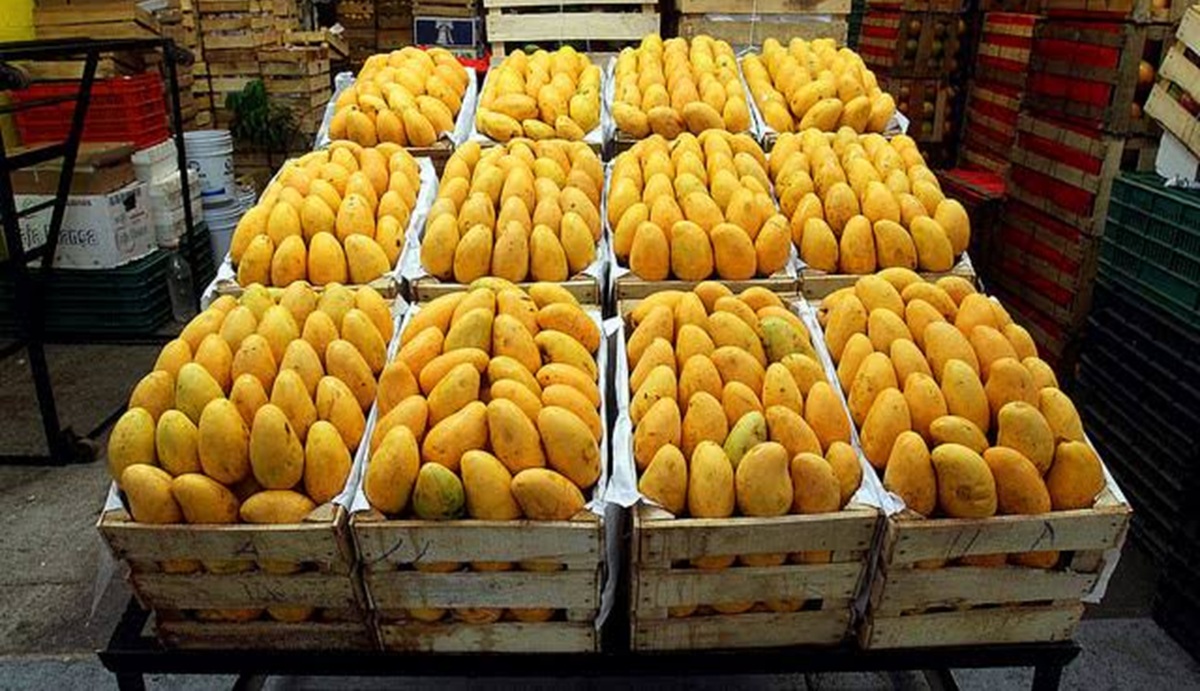Mango Ataulfo