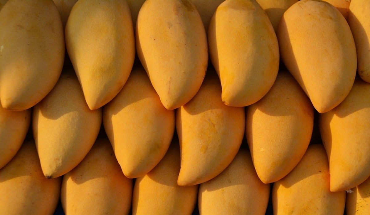 Mango Ataulfo