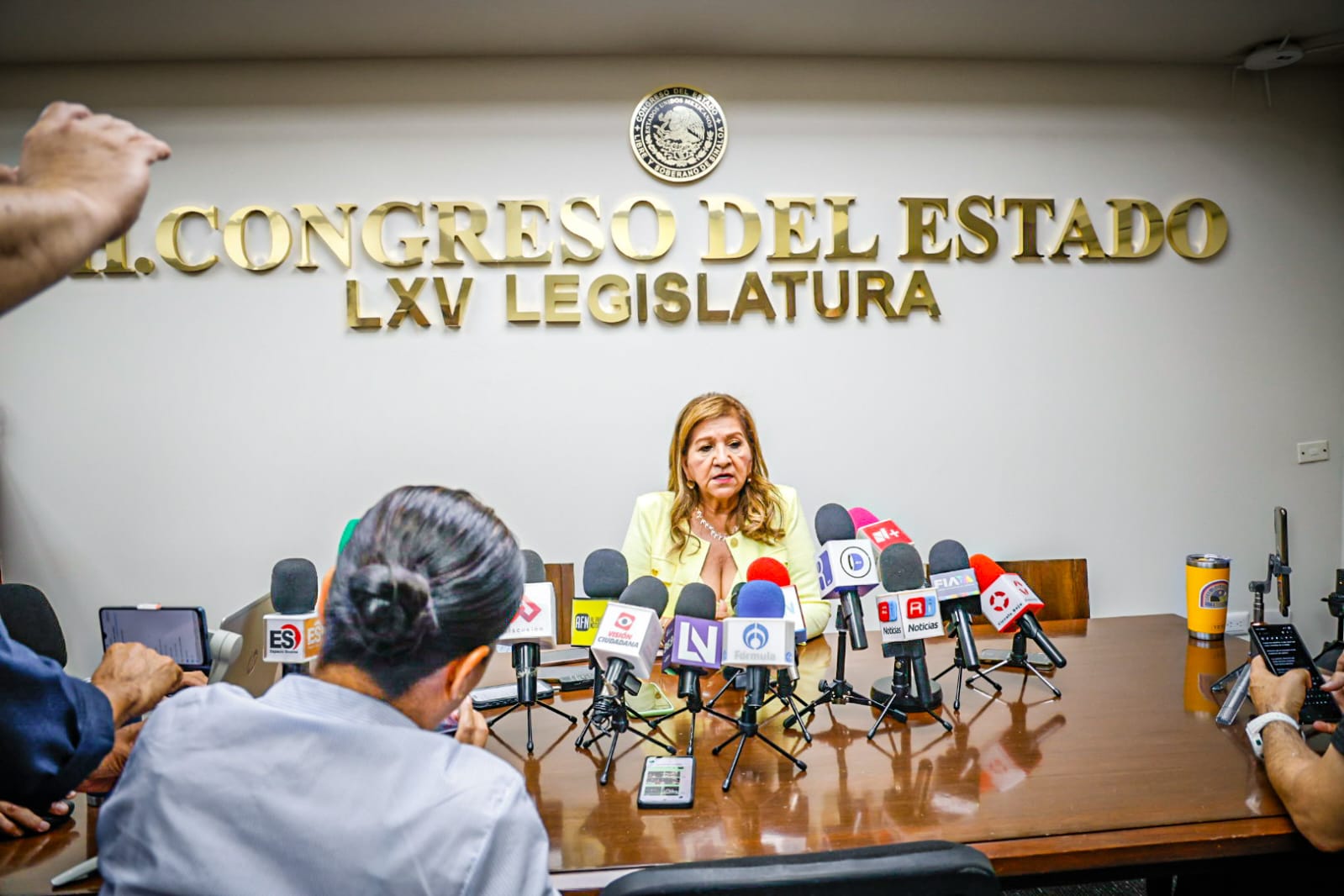 María Teresa Guerra Ochoa, diputada de Morena