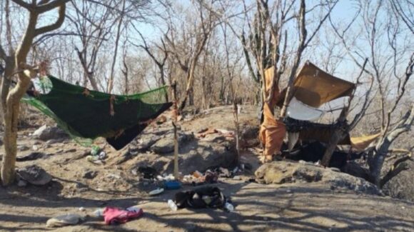 Marina desmantela campamento clandestino y asegura arsenal en Elota, Sinaloa