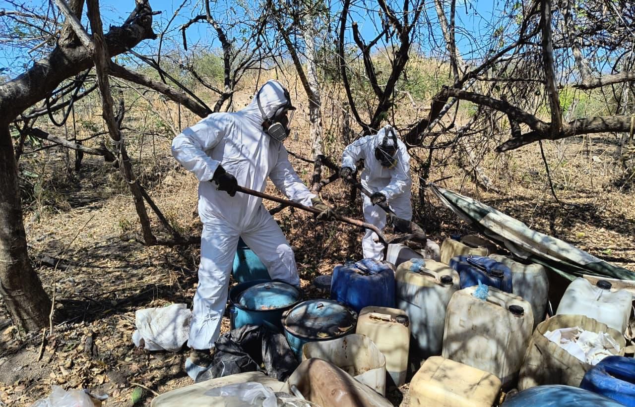 Personal de la Marina desmantela laboratorio clandestino en Cosalá