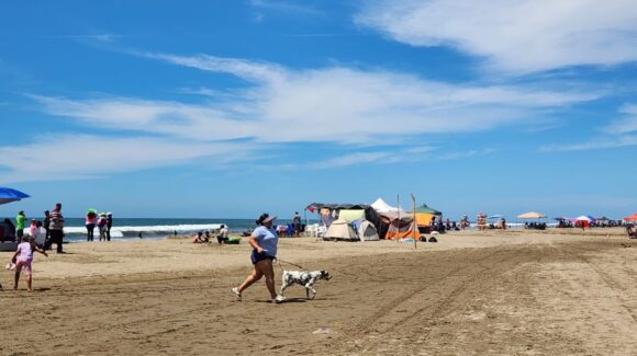 “También son familia”: piden no dejar atrás a las mascotas en vacaciones, desde Guasave, Sinaloa