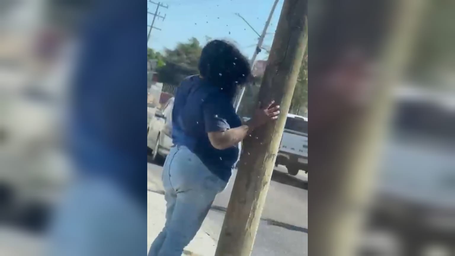 Mujer es atacada por abejas en Culiacán