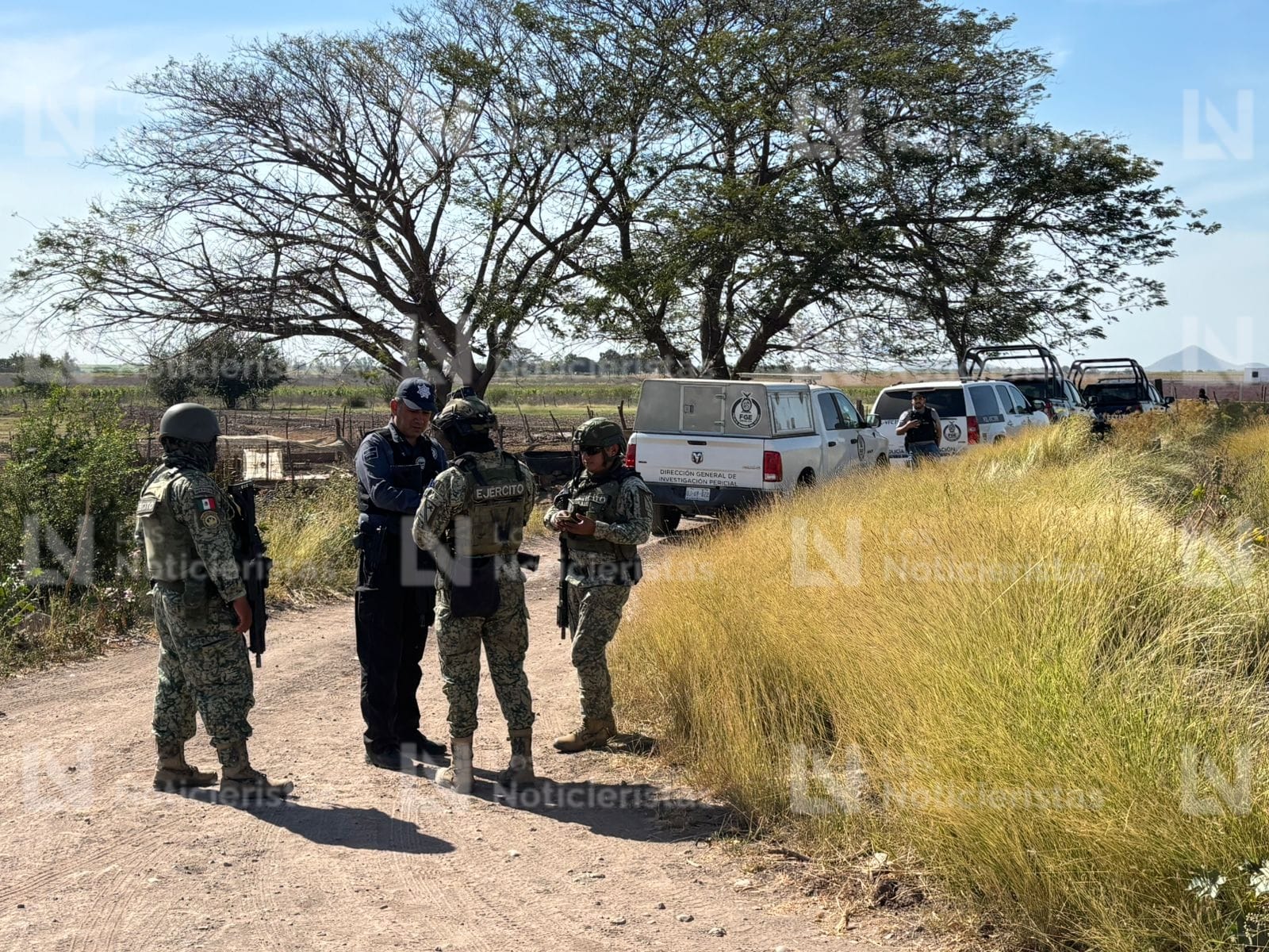 Hallazgo de una persona asesinada en Stanza Granada en Culiacán