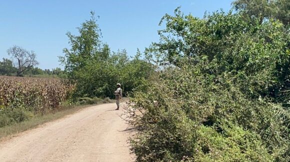 Se intensifica presencia militar en Guasave; Ejército despliega operativos y vigilancia con drones en el río Sinaloa