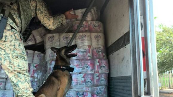 ¡Los ocultaban en las paredes de una caja fría! Hallan más de 60 kilos de cocaína, en Colima; hay 4 detenidos
