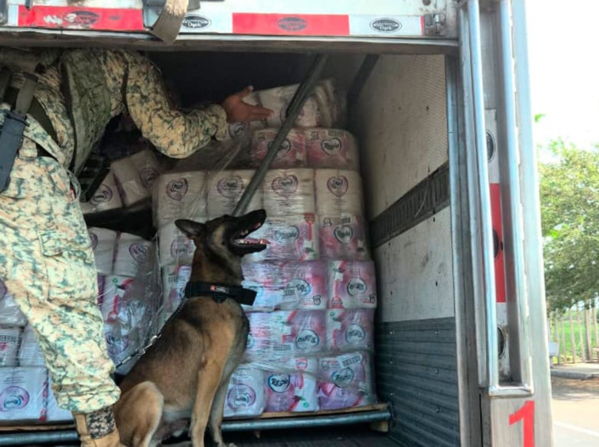Paquetes de drogas hallados en una caja refrigerada, en Colima