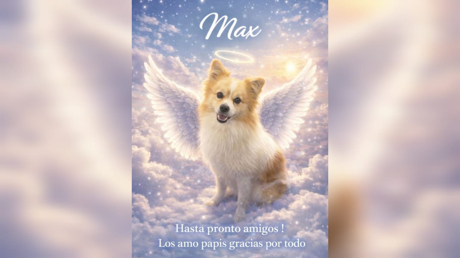 Perrito Max