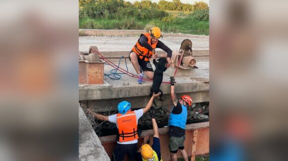 Bomberos de Guasave, Sinaloa, rescatan a canino atrapado en compuerta de canal; intervención oportuna evita tragedia