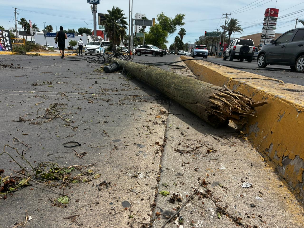 Tráiler deriba postes en Los Mochis