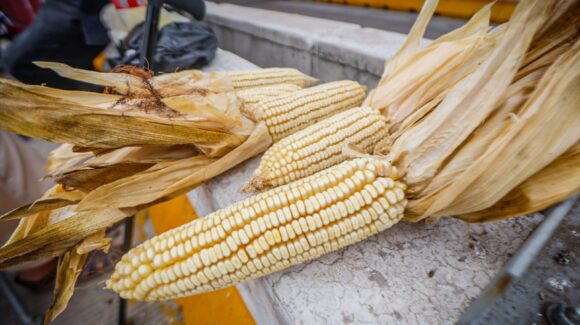 Marcan productores de Sinaloa al Gobierno Federal que sea ágil en los pagos de los apoyos y no cause más golpes