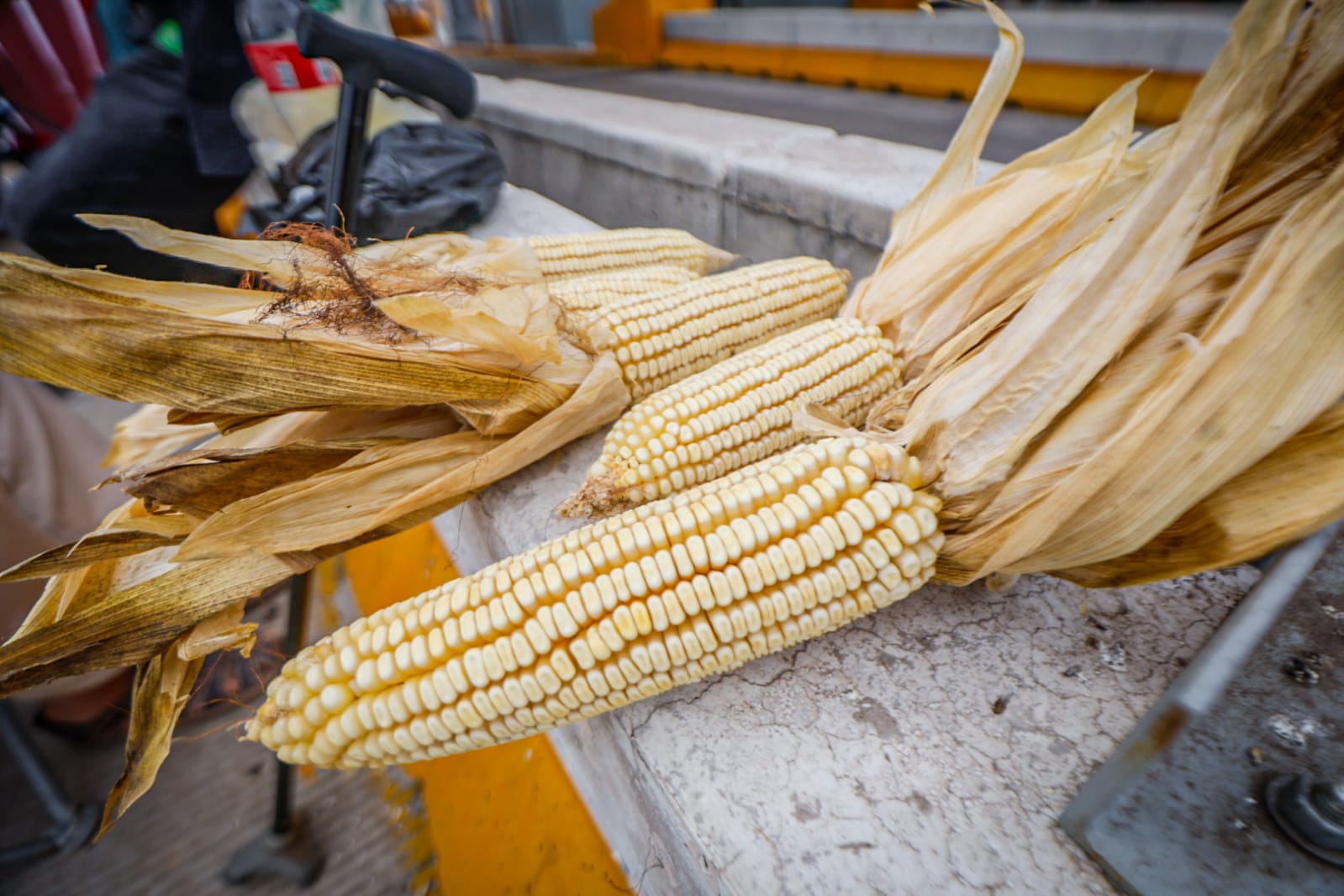 productores mantienen tomadas y semibloqueadas algunas casetas en sinaloa